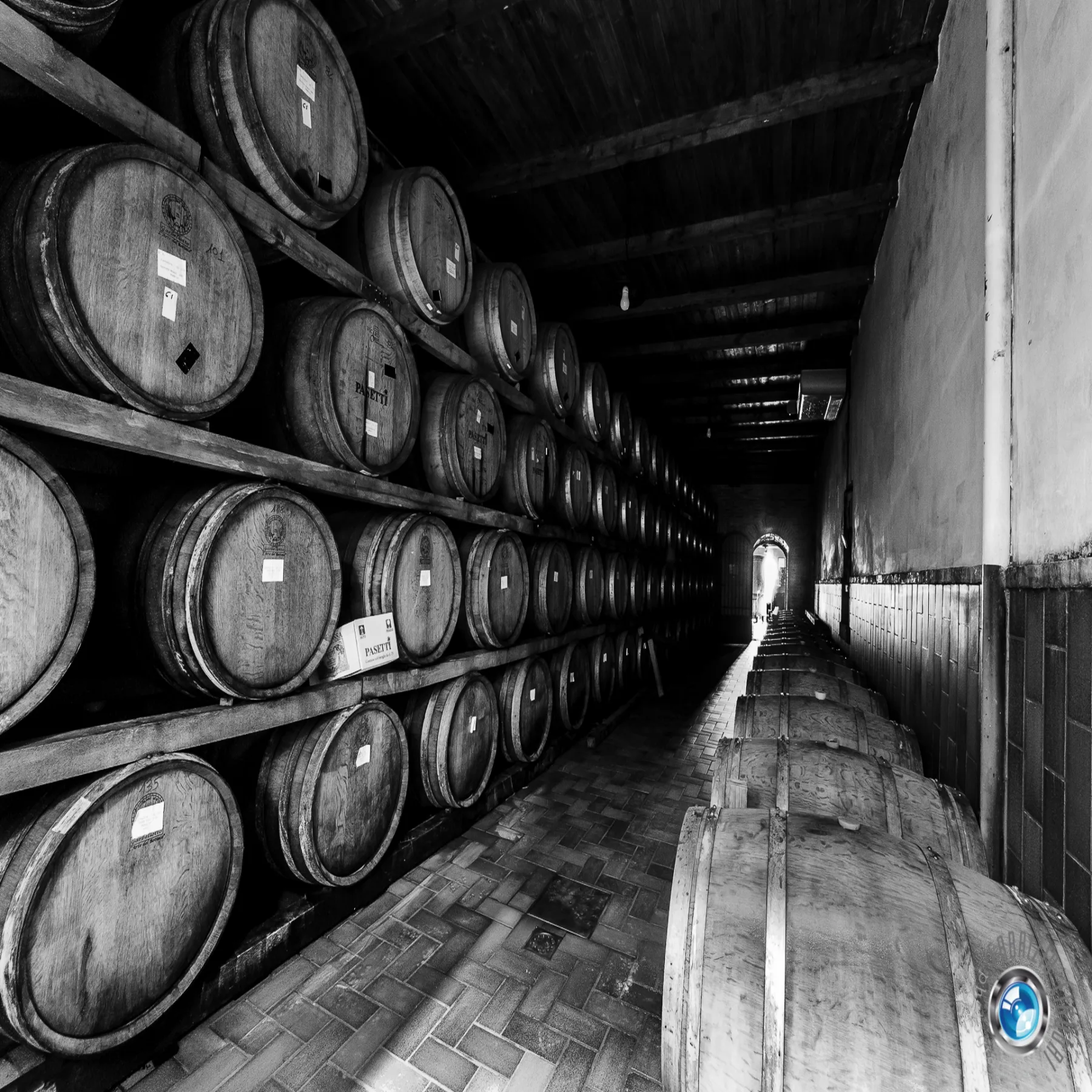 Barrels in the Pasetti wine cellar